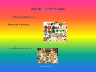 Ano da Biodiversidade:A biodiversidade é…fonte de alimentosInfrancobeck.wordpress.com fonte de medicamentosInblogvisao.wordpress.com