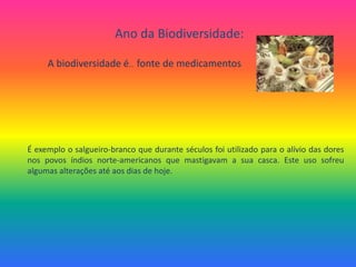 Ano da Biodiversidade:A biodiversidade é…  fonte de medicamentosÉ exemplo o salgueiro-branco que durante séculos foi utilizado para o alívio das dores nos povos índios norte-americanos que mastigavam a sua casca. Este uso sofreu algumas alterações até aos dias de hoje. 