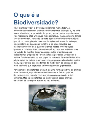 O que é a
Biodiversidade?
"Bio" significa "vida" e diversidade significa "variedade". A
Biodiversidade também chamada de diversidade biológica é, de uma
forma abreviada, a variedade de genes, seres vivos e ecossistemas.
Mas representa algo um pouco mais complexo, mas ao mesmo tempo
fácil de entender… Pois não se trata apenas do número de espécies
que há no nosso planeta mas sim de todas as formas de vida que
nele existem, os genes que contêm, e as inter-relações que
estabelecem entre si. E quando falamos nestas inter-relações
queremos com isto dizer que cada espécie, cada ser vivo tem uma
variedade de funções desempenhadas pelos organismos nos
ecossistemas (regiões da Terra habitadas por seres vivos) e se o
normal funcionamento do seu papel na natureza for modificado, isso
afecta outro ou outros e por sua vez esses outros vão afectar muitos
mais, e por ai fora por isso temos de medir bem os actos pois por
mais pequeno que seja pode ter consequências gigantescas.

Por exemplo: Os elefantes afectam de uma forma positiva, os animais
mais pequenos, cuja alimentação são ramos e folhas, pois ao
derrubarem-nos permite com que eles consigam aceder a tal
alimento. Mas se os elefantes se extinguissem esses animais
deixariam de conseguir aceder ao seu alimento.
 