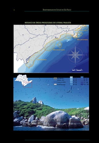 16                                Biodiversidade no Estado de São Paulo




          Mosaico de Áreas Progegidas do Litoral Paulista
                                      5
                                                                              2

                    10
                                                                          6              3


     14

                                             7
                                                                                                   APA Litoral Norte




             11

                                                 APA Litoral Centro




                         APA Litoral Sul




                                                                                     0       12,5 25    50
                                                                                                         Km




                                                  Legenda                         Profundidade (m)
                                                                                         0 - 10               41 - 50
                                                       Apa Marinha
                                                                                         11 - 25              51 - 60
                                                       Isóbata - 23,6
                                                                                         26 - 30              61 - 70
                                                       Limite de UGRHI                   31 - 35              71 - 100
                                                       Limite Municipal                  36 - 40              101 - 150
 