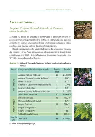 BIODIVERSIDADE NO ESTADO DE SÃO PAULO   17




Áreas protegidas

Programa Criação e Gestão de Unidades de Conserva-
ção em São Paulo:

A criação e a gestão de Unidades de Conservação se constituem em um dos
principais mecanismos para promover a proteção e a conservação da qualidade
ambiental dos sistemas naturais ali existentes, a melhoria da qualidade de vida da
população local e para a proteção dos ecossistemas regionais.
    O quadro a seguir demonstra a quantidade e áreas das Unidades de Conserva-
ção existentes em São Paulo, agrupadas por categoria de manejo, de acordo com
o estabelecido pelo SNUC – Sistema Nacional de Unidades de Conservação e pelo
SIEFLOR – Sistema Estadual de Florestas.

Quadro 1 – Unidades de Conservação Estaduais em São Paulo, sob administração da Fundação
            Florestal.
  Grupo                 Categorias de Unidades de Conservação        Quanti-        Área/ha
                                                                      dade
                        Áreas de Proteção Ambiental                     27         2.548.946
                        Áreas de Relevante Interesse Ambiental           2           1.063
    Uso Sustentável




                        Floresta Estadual                                1           2.223
                        Reservas de Desenvolvimento Sustentáveis         5          12.778
                        Reservas Extrativistas                           2           2.791
                        Áreas de Proteção Ambiental – Marinhas           3         1.123.108
                        Subtotal Uso Sustentável                        40         3.690.909
                        Estações Ecológicas                             16          115.240
    Proteção Integral




                        Monumento Natural Estadual                       1           3.297
                        Parques Estaduais                               28          769.433
                        Parques Ecológicos (*)                           2            378
                        Reserva Ecológica (*)                            1             55
                        Subtotal Proteção Integral                      48          888.403
 Total de
          Total Geral                                                   88         4.579.312
   UCs
(*) UCs em estudos para recategorização.
 
