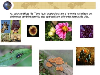 As características da Terra que proporcionaram a enorme variedade de ambientes também permitiu que aparecessem diferentes formas de vida. 