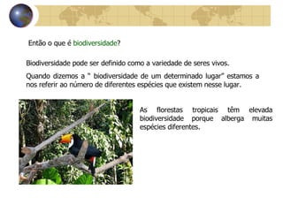 Então o que é  biodiversidade ? Biodiversidade pode ser definido como a variedade de seres vivos. Quando dizemos a “ biodiversidade de um determinado lugar” estamos a nos referir ao número de diferentes espécies que existem nesse lugar. As florestas tropicais têm elevada biodiversidade porque alberga muitas espécies diferentes. 