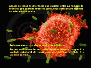 Apesar de todas as diferenças que existem entre as milhões de espécies que existem, todos os seres vivos apresentam algumas características comuns. Todos os seres vivos são formados por células. Porque está presente em todos os seres vivos e porque é a unidade estrutural de todos eles, dizemos que a célula é a  unidade da vida . 