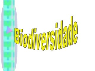 Biodiversidade 