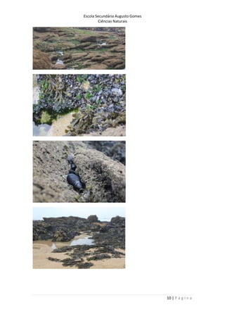 Escola Secundária Augusto Gomes
Ciências Naturais
10 | P á g i n a
 