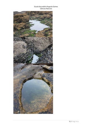 Escola Secundária Augusto Gomes
Ciências Naturais
5 | P á g i n a
 