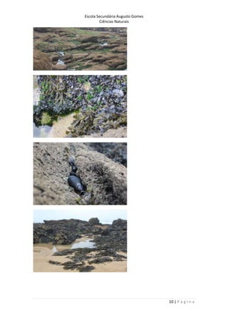 Escola Secundária Augusto Gomes
Ciências Naturais
10 | P á g i n a
 