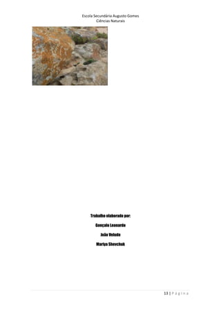 Escola Secundária Augusto Gomes
Ciências Naturais
13 | P á g i n a
Trabalho elaborado por:
Gonçalo Leonardo
João Veludo
Mariya Shevchuk
 