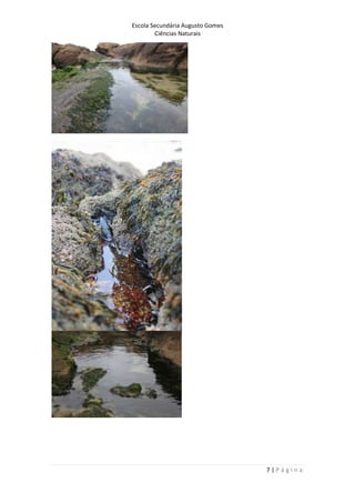 Escola Secundária Augusto Gomes
Ciências Naturais
7 | P á g i n a
 