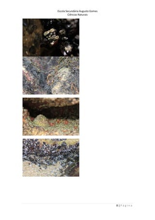Escola Secundária Augusto Gomes
Ciências Naturais
8 | P á g i n a
 