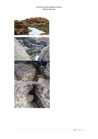 Escola Secundária Augusto Gomes
Ciências Naturais
9 | P á g i n a
 