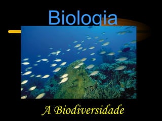 Biologia
A Biodiversidade
 
