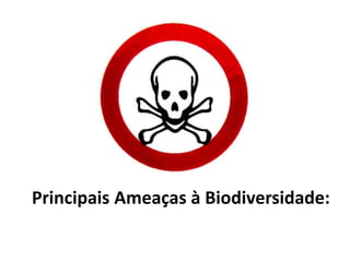 Principais Ameaças à Biodiversidade:
 