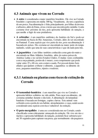 11
4.3 Animais que vivem no Cerrado
 A anta: é considerada o maior mamífero brasileiro. Ela vive no Cerrado
brasileiro e apresenta em média 300 kg. Visualmente, ela tem a aparência
de um porco. Suaalimentação é feita principalmente porfolhas deárvores
e arbustos, além defrutas, ervas e raízes que encontra pelo caminho A anta
costuma viver próximo de rios, pois apresenta habilidade de natação, o
que auxilia a fugir de seus predadores.
 A ariranha: é um mamífero endêmico da América do Sul e pode ser
encontrada na bacia do Rio Amazonas, Cerrado, além de ser encontrado
no Pantanal. É uma espécie que vive perto de rios, pois sua alimentação é
baseada em peixes. Ela costuma ser encontrada na maior parte do tempo
nadando, sendo que uma de suas características é que ela nada para trás.
 A jaguatirica: é um felino também conhecido como gato-do-mato e
encontrado na Mata Atlântica brasileira, além de outros países da
América Latina e no sul dos Estados Unidos. É muitas vezes confundida
com a onça-pintada, porém ela é menor, com comprimento que pode
variar entre 25 e 40 cm, sem contar a cauda. Por possuirdentes bem
afiados que ajudam a triturar o alimento, a jaguatirica se alimenta de
aves, pequenos mamíferos, répteis e roedores.
4.3.1 Animais ouplantascomriscos de extinção do
Cerrado
 O tamanduá-bandeira: é um mamífero que vive no Cerrado e
apresenta hábitos solitários na vida adulta. Para caçar seu alimento, ele
costuma caminhar durante o dia todo. A alimentação do tamanduá-
bandeira é baseada em formigas, cupins e larvas. Este animal vem
sofrendo com a perda de seu habitat, atropelamentos e caça, sendo assim
considerado uma espécie com risco vulnerável de extinção.
 O pato-mergulhão: é uma ave considerada rara no Cerrado, sendo
classificada como criticamente ameaçada de extinção. Ele vive em rios e
riachos e apresenta habilidade de natação, podendo ficar submerso por
até 30 segundos para capturar sua presa, que normalmente são pequenos
 