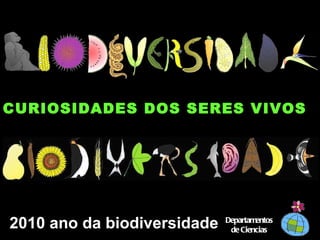 2010 ano da biodiversidade CURIOSIDADES DOS SERES VIVOS Departamentos de Ciencias 
