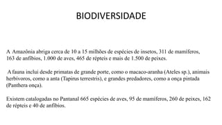 BIODIVERSIDADE
A Amazônia abriga cerca de 10 a 15 milhões de espécies de insetos, 311 de mamíferos,
163 de anfíbios, 1.000 de aves, 465 de répteis e mais de 1.500 de peixes.
Afauna inclui desde primatas de grande porte, como o macaco-aranha (Ateles sp.), animais
herbívoros, como a anta (Tapirus terrestris), e grandes predadores, como a onça pintada
(Panthera onça).
Existem catalogadas no Pantanal 665 espécies de aves, 95 de mamíferos, 260 de peixes, 162
de répteis e 40 de anfíbios.
 