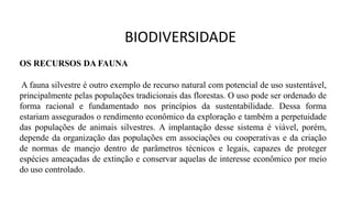 OS RECURSOS DA FAUNA
A fauna silvestre é outro exemplo de recurso natural com potencial de uso sustentável,
principalmente pelas populações tradicionais das florestas. O uso pode ser ordenado de
forma racional e fundamentado nos princípios da sustentabilidade. Dessa forma
estariam assegurados o rendimento econômico da exploração e também a perpetuidade
das populações de animais silvestres. A implantação desse sistema é viável, porém,
depende da organização das populações em associações ou cooperativas e da criação
de normas de manejo dentro de parâmetros técnicos e legais, capazes de proteger
espécies ameaçadas de extinção e conservar aquelas de interesse econômico por meio
do uso controlado.
BIODIVERSIDADE
 