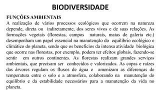 BIODIVERSIDADE
FUNÇÕES AMBIENTAIS
A realização de vários processos ecológicos que ocorrem na natureza
depende, direta ou indiretamente, dos seres vivos e de suas relações. As
formações vegetais (florestas, campos naturais, matas de galeria etc.)
desempenham um papel essencial na manutenção do equilíbrio ecológico e
climático do planeta, sendo que os benefícios da intensa atividade biológica
que ocorre nas florestas, por exemplo, podem ter efeitos globais, fazendo-se
sentir em outros continentes. As florestas realizam grandes serviços
ambientais, que precisam ser conhecidos e valorizados. As copas e raízes
das árvores regulam os fluxos de água e amenizam as diferenças de
temperatura entre o solo e a atmosfera, colaborando na manutenção do
equilíbrio e da estabilidade necessários para a manutenção da vida no
planeta.
 