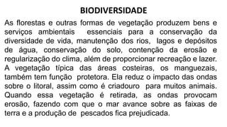 BIODIVERSIDADE
As florestas e outras formas de vegetação produzem bens e
serviços ambientais essenciais para a conservação da
diversidade de vida, manutenção dos rios, lagos e depósitos
de água, conservação do solo, contenção da erosão e
regularização do clima, além de proporcionar recreação e lazer.
A vegetação típica das áreas costeiras, os manguezais,
também tem função protetora. Ela reduz o impacto das ondas
sobre o litoral, assim como é criadouro para muitos animais.
Quando essa vegetação é retirada, as ondas provocam
erosão, fazendo com que o mar avance sobre as faixas de
terra e a produção de pescados fica prejudicada.
 
