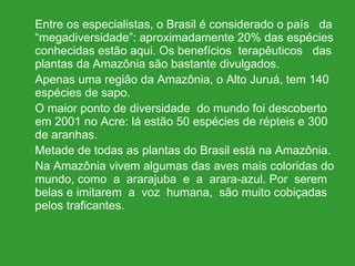 Entre os especialistas, o Brasil é considerado o país  da “megadiversidade”: aproximadamente 20% das espécies conhecidas estão aqui. Os benefícios  terapêuticos  das plantas da Amazônia são bastante divulgados. Apenas uma região da Amazônia, o Alto Juruá, tem 140 espécies de sapo. O maior ponto de diversidade  do mundo foi descoberto em 2001 no Acre: lá estão 50 espécies de répteis e 300 de aranhas. Metade de todas as plantas do Brasil está na Amazônia. Na Amazônia vivem algumas das aves mais coloridas do mundo, como  a  ararajuba  e  a  arara-azul. Por  serem belas e imitarem  a  voz  humana,  são muito cobiçadas pelos traficantes. 