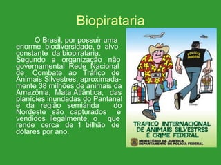 Biopirataria O Brasil, por possuir uma  enorme  biodiversidade, é  alvo constante  da biopirataria. Segundo  a  organização  não  governamental  Rede  Nacional de  Combate  ao  Tráfico  de Animais Silvestres, aproximada- mente 38 milhões de animais da Amazônia,  Mata Atlântica,  das planícies inundadas do Pantanal e  da  região  semiárida  do Nordeste  são  capturados  e vendidos  ilegalmente,  o  que rende  cerca  de  1  bilhão  de dólares por ano. 
