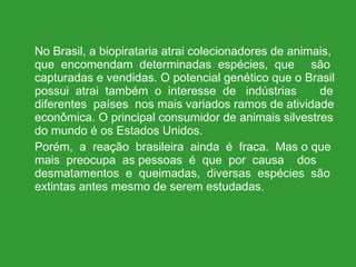 No Brasil, a biopirataria atrai colecionadores de animais, que  encomendam  determinadas  espécies,  que  são capturadas e vendidas. O potencial genético que o Brasil possui  atrai  também  o  interesse  de  indústrias  de diferentes  países  nos mais variados ramos de atividade econômica. O principal consumidor de animais silvestres do mundo é os Estados Unidos. Porém,  a  reação  brasileira  ainda  é  fraca.  Mas o que mais  preocupa  as pessoas  é  que  por  causa  dos desmatamentos  e  queimadas,  diversas  espécies  são extintas antes mesmo de serem estudadas. 