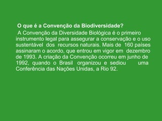O que é a Convenção da Biodiversidade? A Convenção da Diversidade Biológica é o primeiro instrumento legal para assegurar a conservação e o uso sustentável  dos  recursos naturais. Mais de  160 países assinaram o acordo, que entrou em vigor em  dezembro de 1993. A criação da Convenção ocorreu em junho de 1992,  quando  o  Brasil  organizou  e  sediou  uma Conferência das Nações Unidas, a Rio 92. 