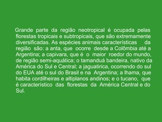 Grande  parte  da  região  neotropical  é  ocupada  pelas florestas tropicais e subtropicais, que são extremamente diversificadas. As espécies animais características  da região  são: a anta, que  ocorre  desde a Colômbia até a Argentina; a capivara, que é  o  maior  roedor do mundo, de região semi-aquática; o tamanduá bandeira, nativo da América do Sul e Central; a jaguatirica, ocorrendo do sul do EUA até o sul do Brasil e na  Argentina; a lhama, que habita cordilheiras e altiplanos andinos; e o tucano,  que é característico  das  florestas  da  América Central e do Sul. 