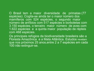 O  Brasil  tem  a  maior  diversidade  de  primatas (77 espécies) .Cogita-se ainda ter o maior número dos  mamíferos  com  524  espécies,  o  segundo  maior número de anfíbios com 517 espécies e borboletas com 3.150 espécies, o terceiro  maior  número  de aves com 1.622 espécies  e  a quinta maior  população de répteis com 468 espécies. Os principais refúgios da biodiversidade brasileira são a  Floresta Amazônica  e a Mata Atlântica. Estudos  revelam  que nos próximos 25 anos,entre 2 a 7 espécies em cada 100 irão extinguir-se. 