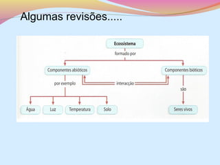 Algumas revisões.....

 