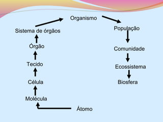 Organismo
População

Sistema de órgãos
Órgão

Comunidade

Tecido

Ecossistema

Célula

Biosfera

Molécula
Átomo

 