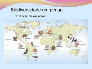 Biodiversidade em perigo
•Extinção de espécies

 