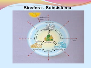 Biosfera - Subsistema

 