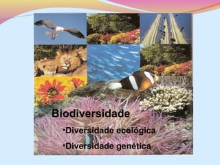 Biodiversidade
•Diversidade ecológica
•Diversidade genética

 