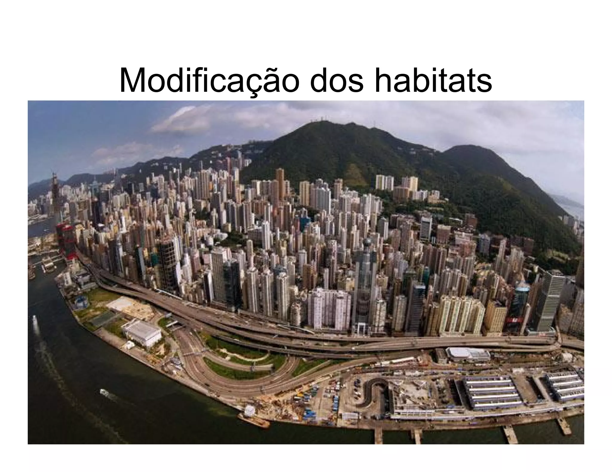 Biodiversidade ppt