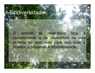 Biodiversidade ppt