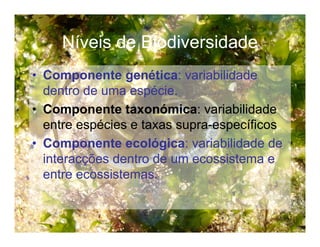 Biodiversidade ppt