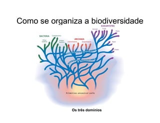 Biodiversidade ppt