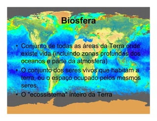 Biodiversidade ppt