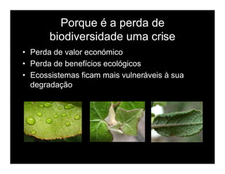 Biodiversidade ppt