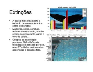 Biodiversidade ppt