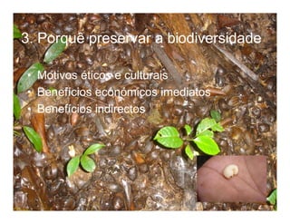 Biodiversidade ppt