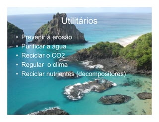 Biodiversidade ppt