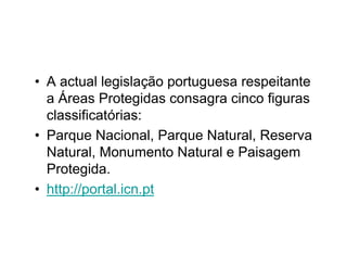 Biodiversidade ppt