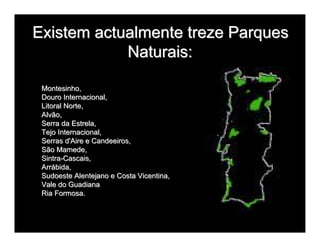 Biodiversidade ppt