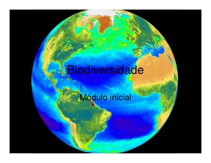 Biodiversidade

  Módulo inicial