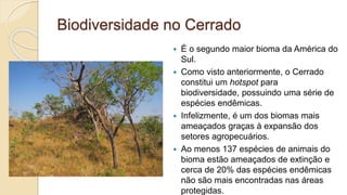 Biodiversidade no Cerrado
 É o segundo maior bioma da América do
Sul.
 Como visto anteriormente, o Cerrado
constitui um hotspot para
biodiversidade, possuindo uma série de
espécies endêmicas.
 Infelizmente, é um dos biomas mais
ameaçados graças à expansão dos
setores agropecuários.
 Ao menos 137 espécies de animais do
bioma estão ameaçados de extinção e
cerca de 20% das espécies endêmicas
não são mais encontradas nas áreas
protegidas.
 