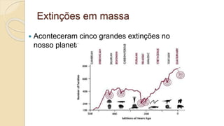 Extinções em massa
 Aconteceram cinco grandes extinções no
nosso planeta
 