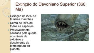Extinção do Devoniano Superior (360
Ma)
 Extinção de 22% de
famílias marinhas
 Cerca de 80% de
todas as espécies
 Provavelmente
causada pela queda
nos níveis de
oxigênio e
decaimento da
temperatura do
planeta
 